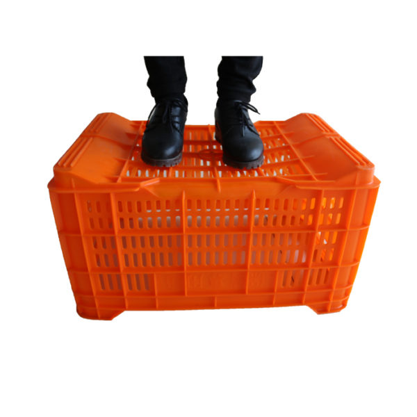 vegetable crates plastic