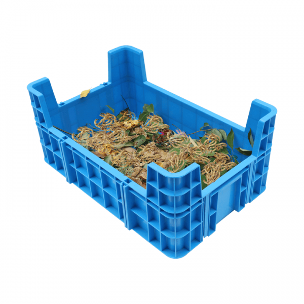 Insect Breeding Box BSF Breeding Boxes