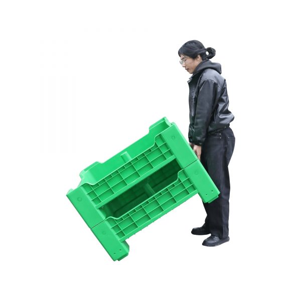 Insect farming box wholesale