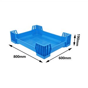 Best insect breeding box