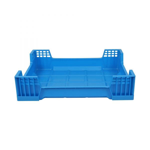 Best insect breeding box