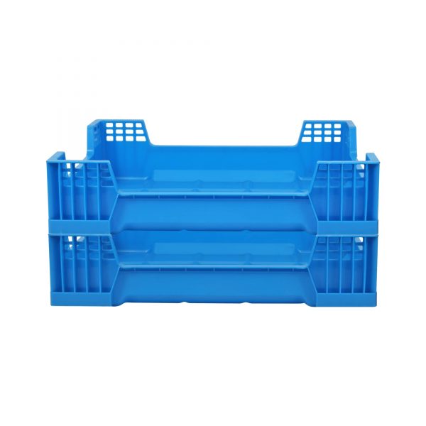 Best insect breeding box