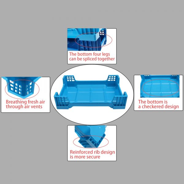 Plastic Insect Breeding Tray